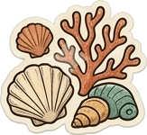 sea shells